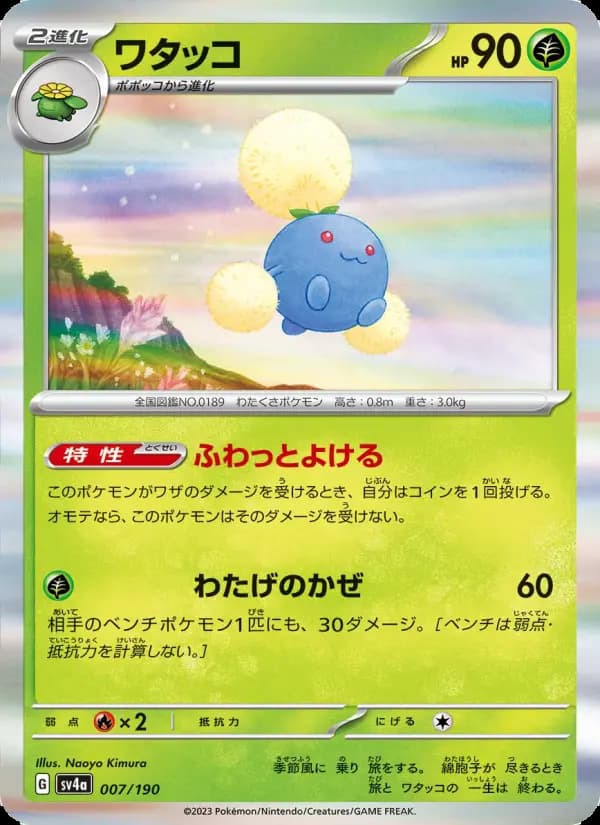 ワタッコ