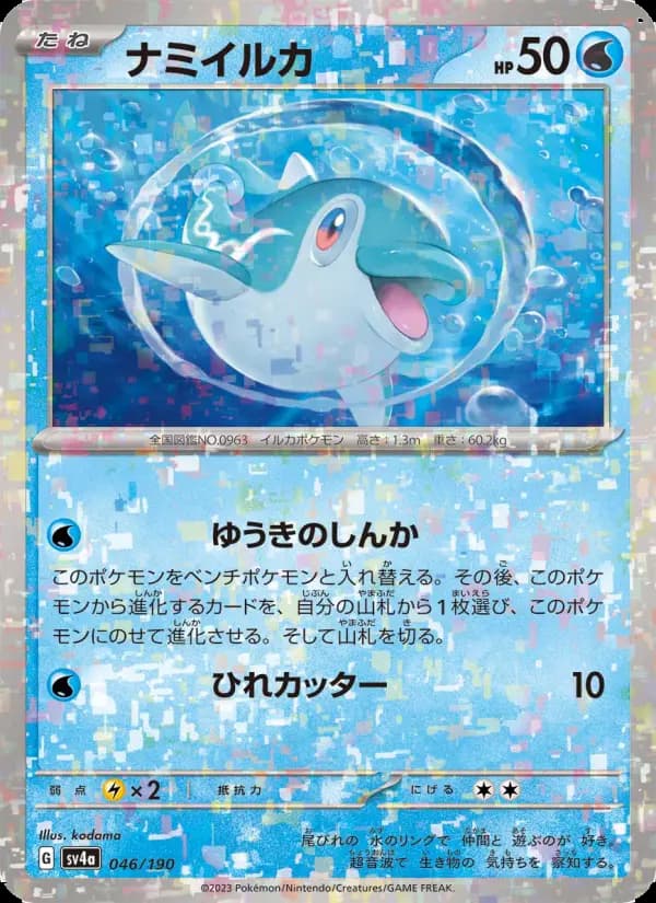 ナミイルカ