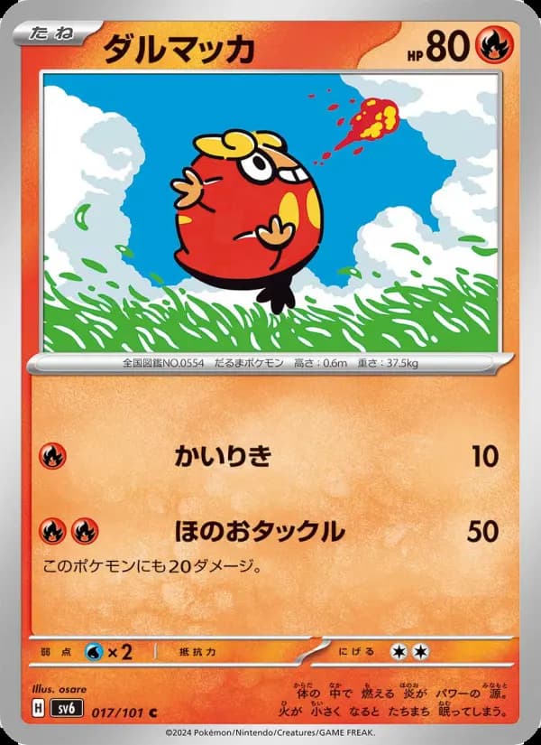 ダルマッカ