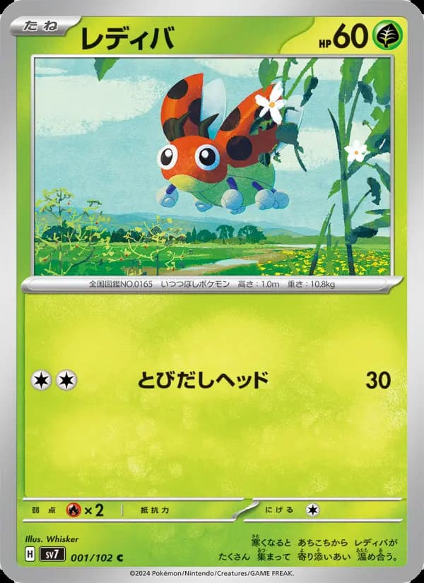 レディバ