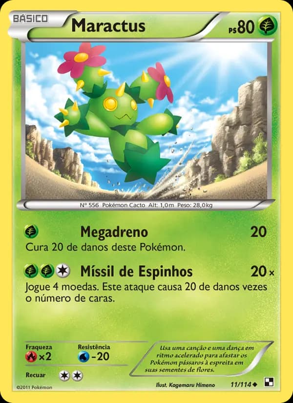 Maractus