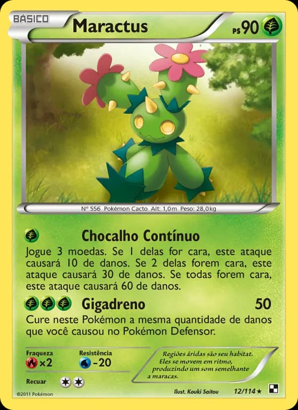 Maractus