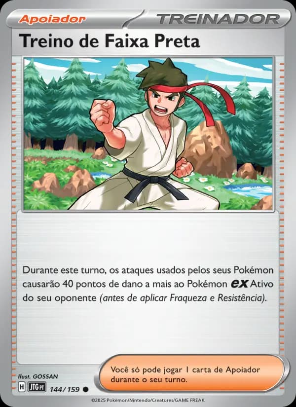 Treino de Faixa Preta