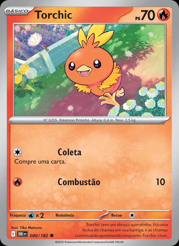Torchic