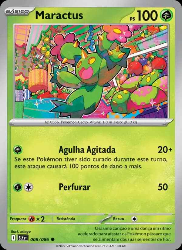 Maractus