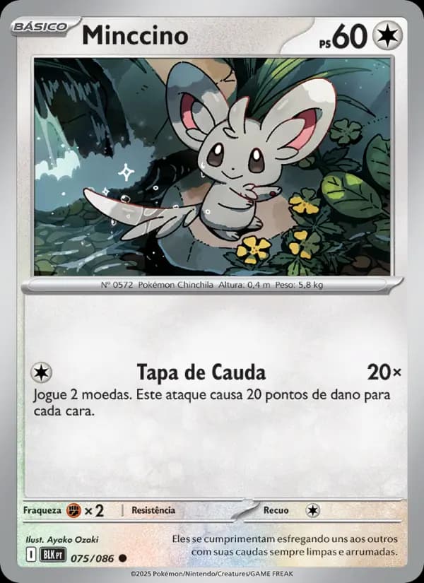 Minccino