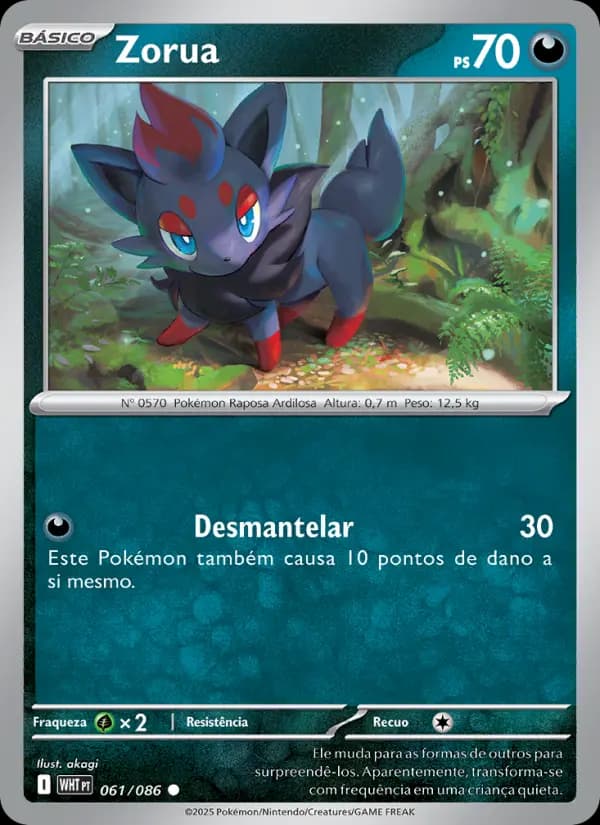 Zorua