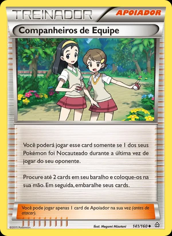 Companheiros de Equipe