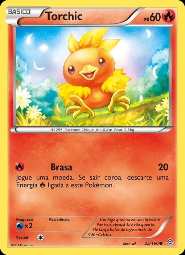 Torchic