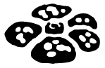 Dschungel