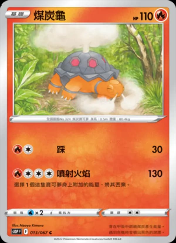 煤炭龜