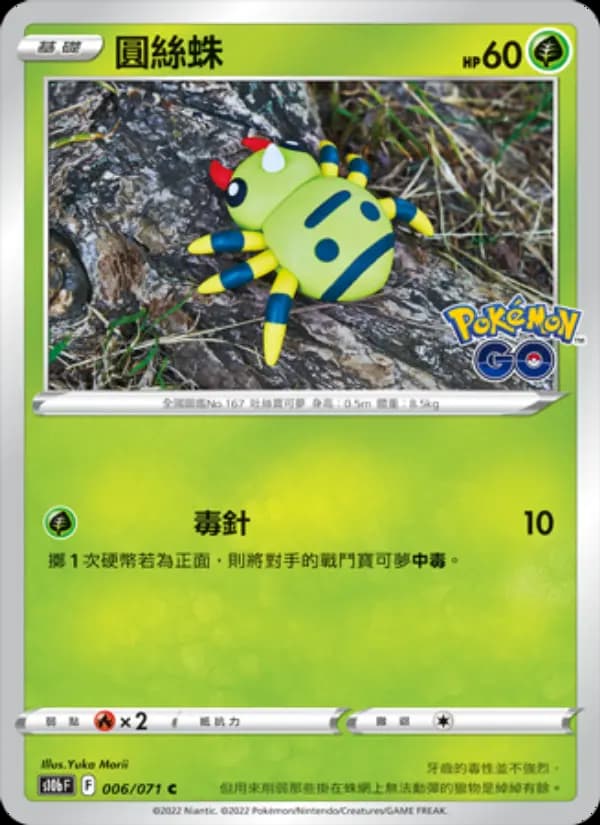 圓絲蛛