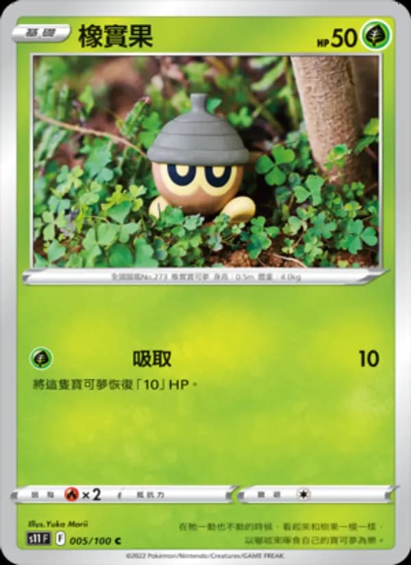 橡實果