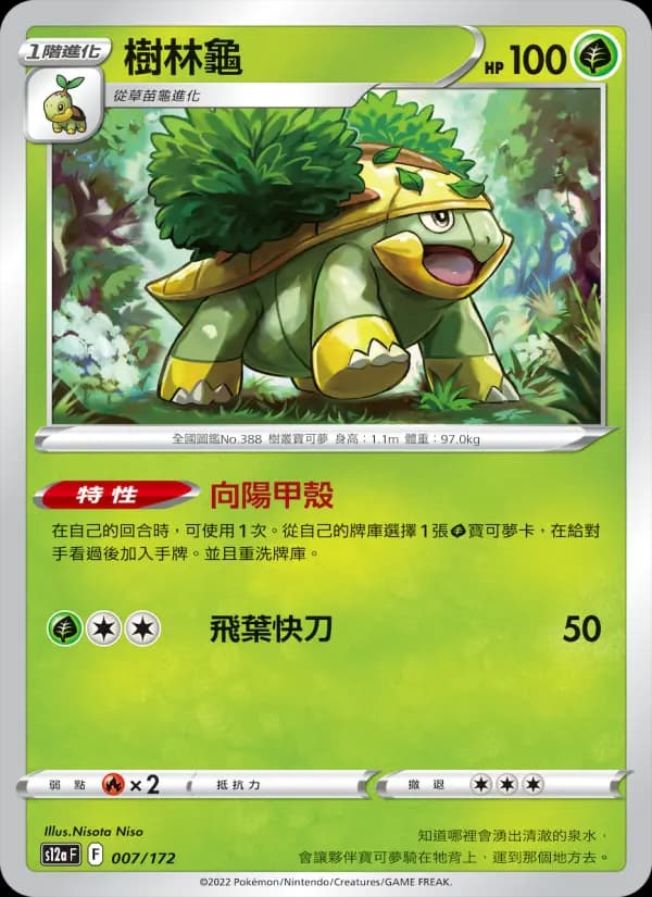 樹林龜