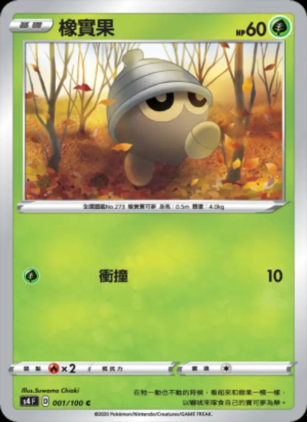 橡實果