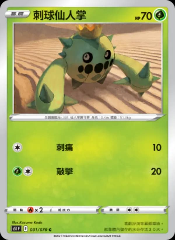刺球仙人掌
