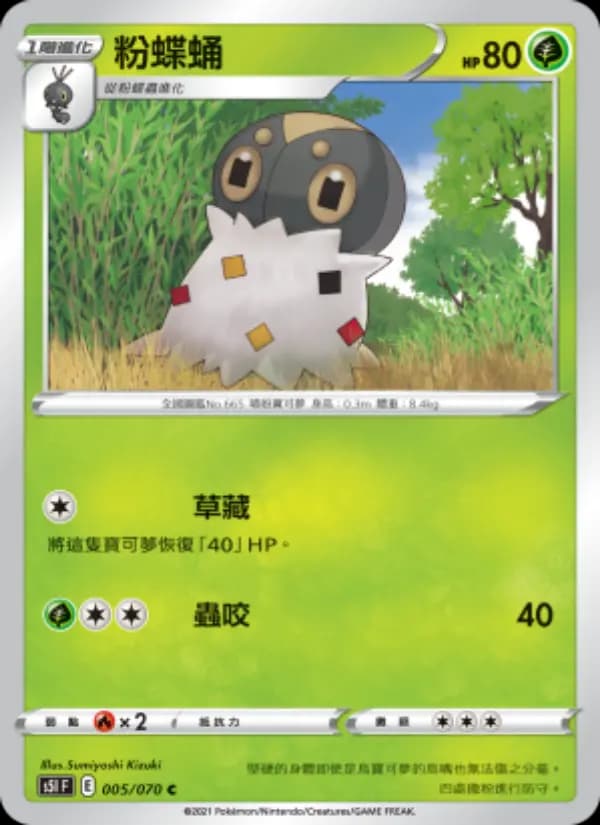 粉蝶蛹