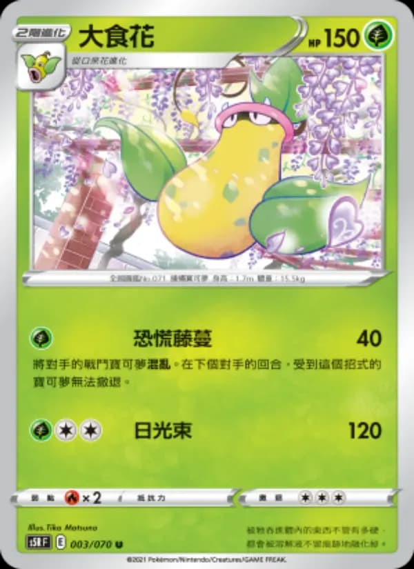 大食花