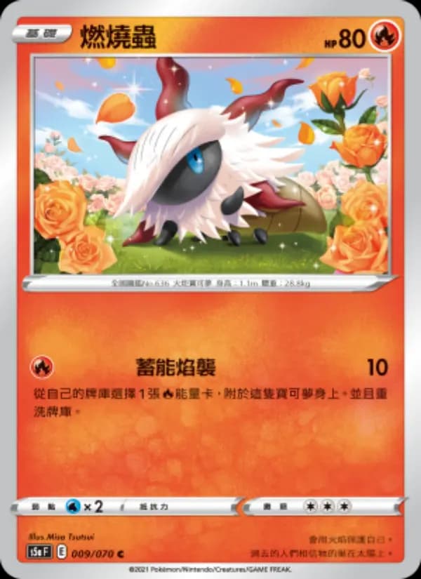 燃燒蟲