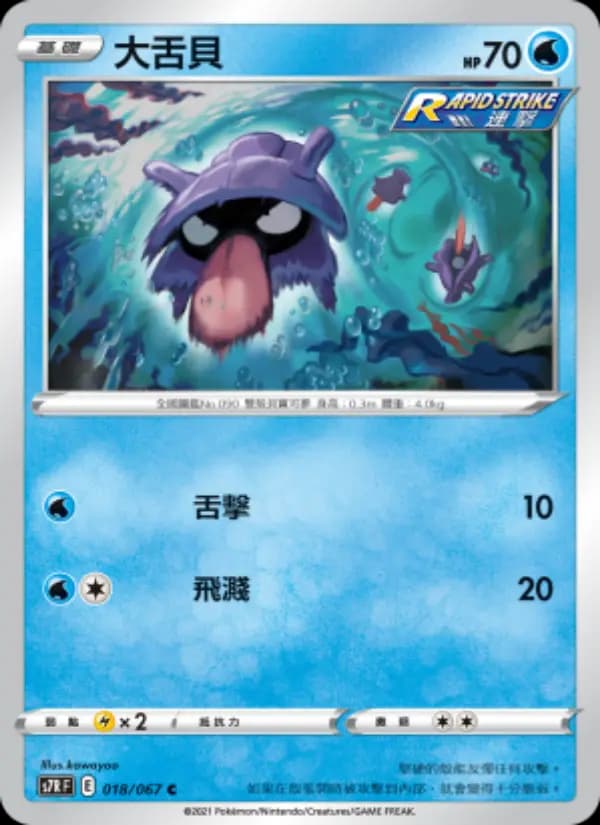 大舌貝