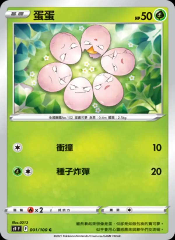 蛋蛋