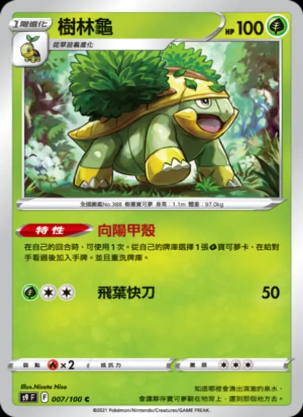 樹林龜