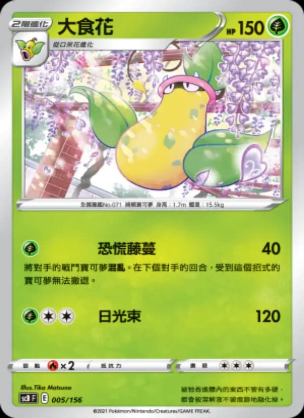 大食花