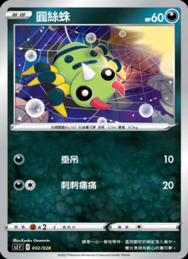 圓絲蛛