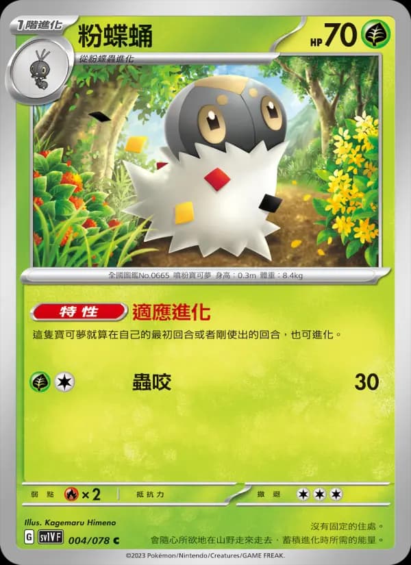 粉蝶蛹