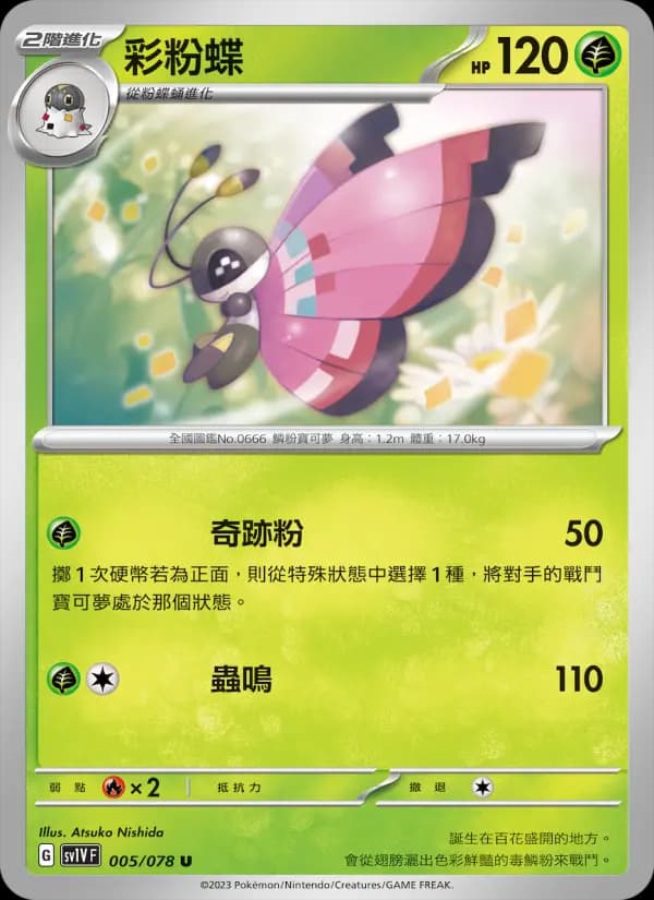 彩粉蝶