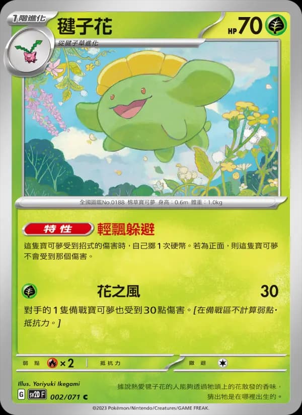 毽子花