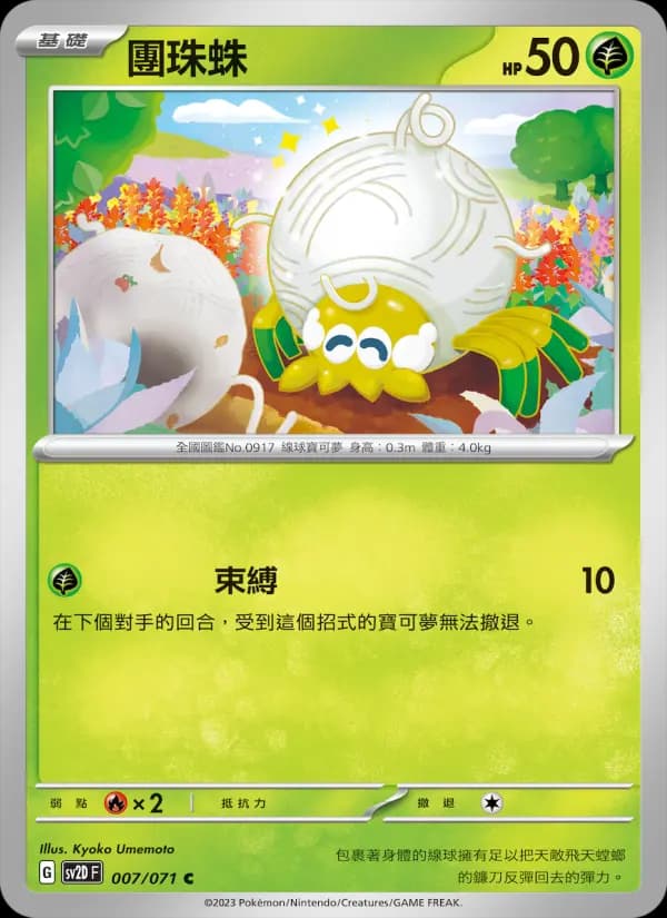 團珠蛛