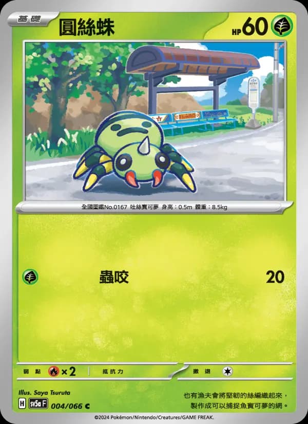 圓絲蛛