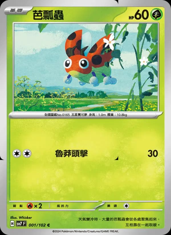 芭瓢蟲