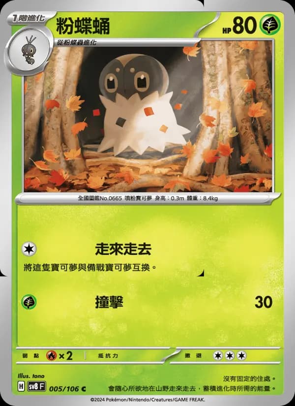 粉蝶蛹