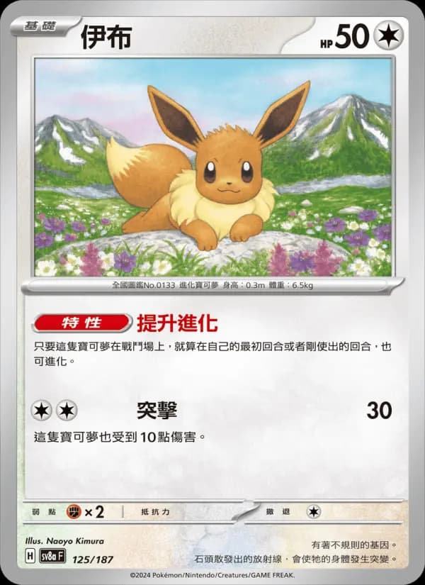 伊布