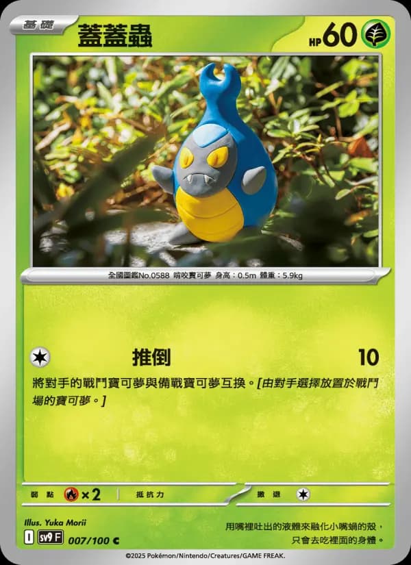 蓋蓋蟲