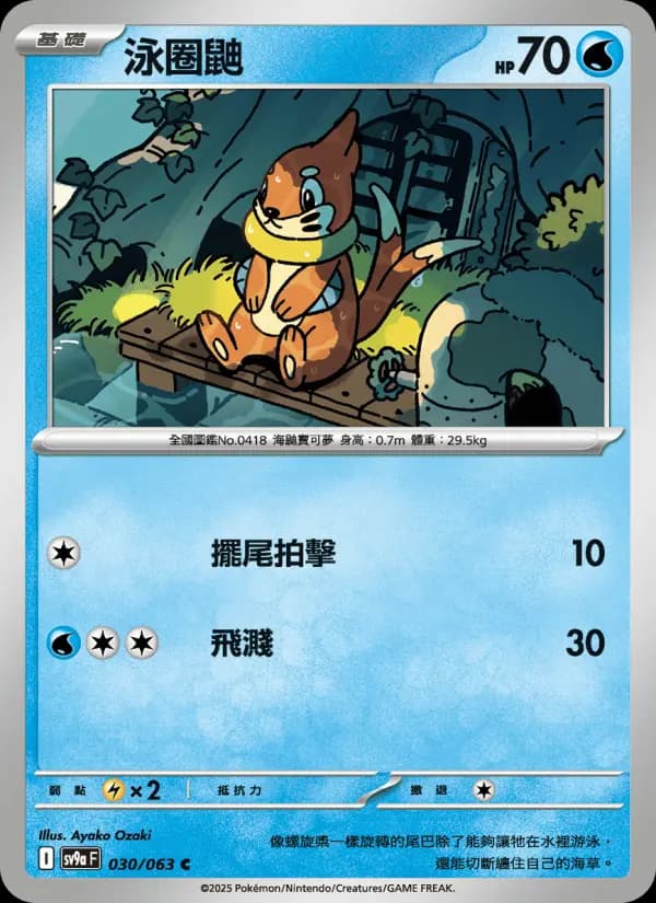 泳圈鼬