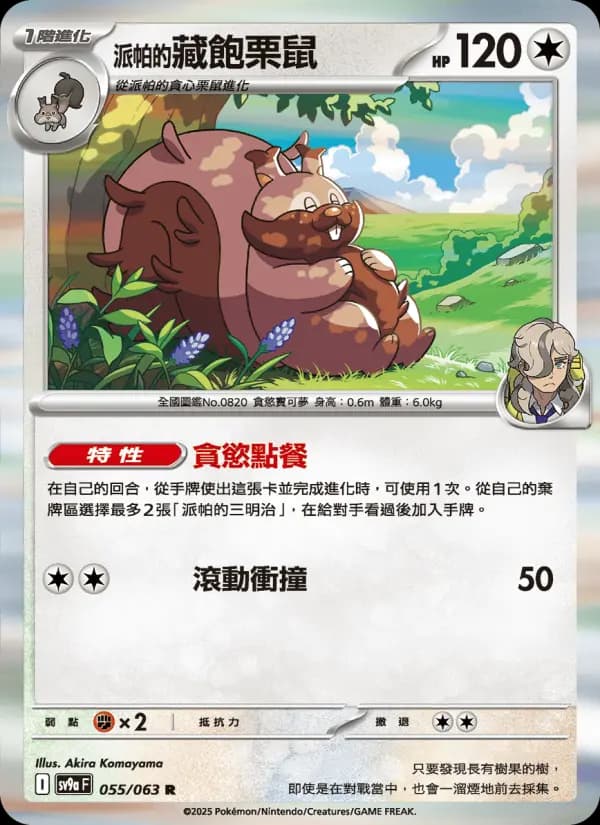 <派帕的>藏飽栗鼠