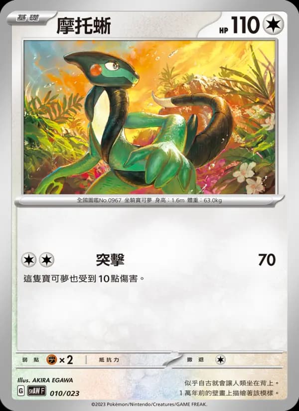 摩托蜥