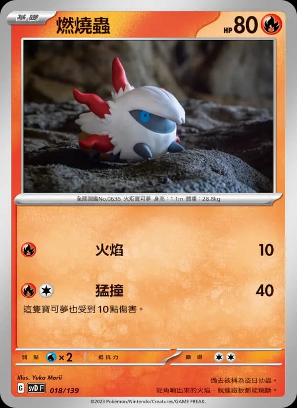燃燒蟲